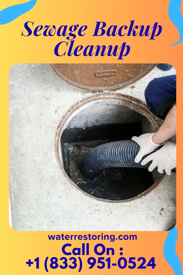 Sewage Backup Cleanup in Newry, PA