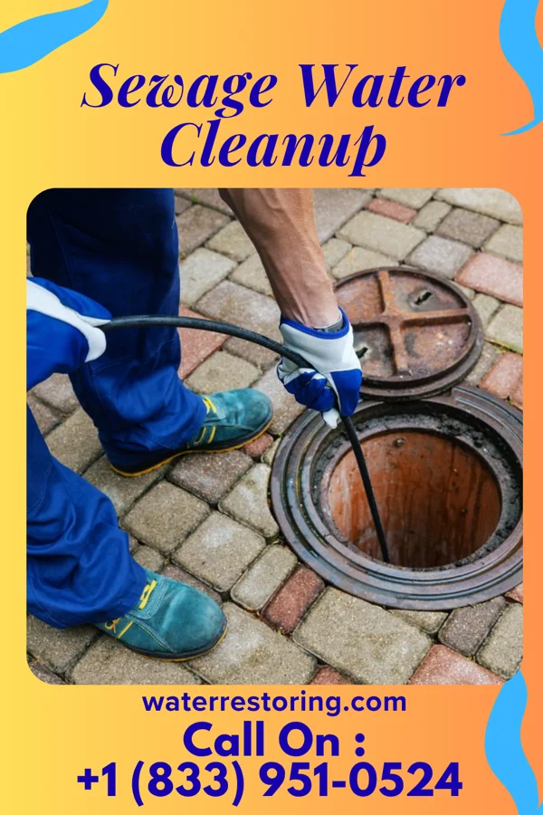 Sewage Water Cleanup in Newry, PA